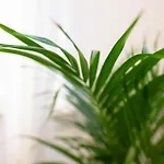 Apartmán Greentreehomes - Herzstueck Kirsche- Im Zentrum Coburgs *