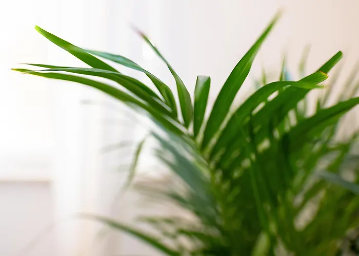 Lejlighed Greentreehomes - Herzstueck Kirsche- Im Zentrum Coburgs *
